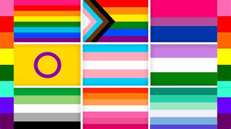 osos lgbt|Significado y colores de todas las banderas LGBT+